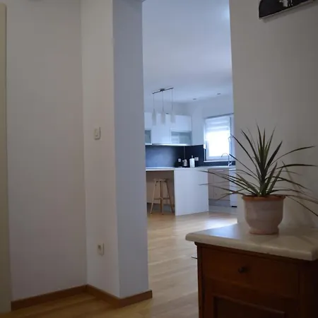 Dodo Apartment